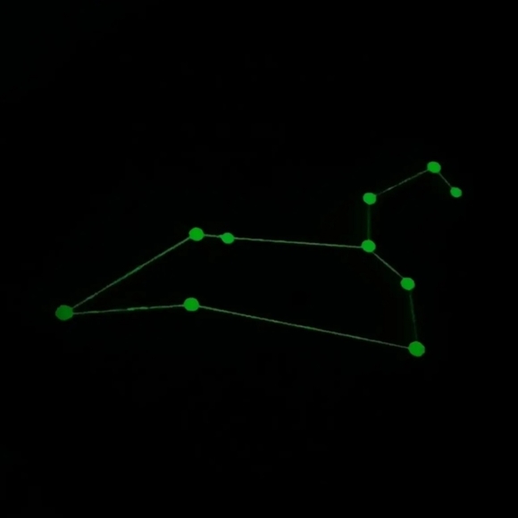 LEO The Lion Glow In The Dark CARD Stargo Game Replacement Piece - Picture 1 of 4